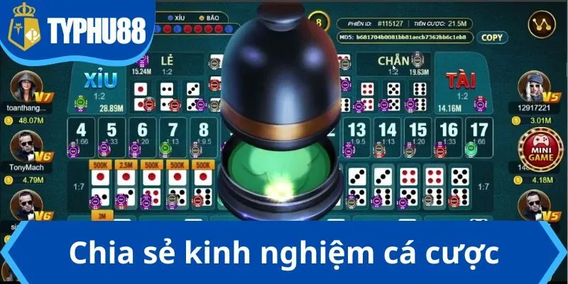 Chia sẻ kinh nghiệm cá cược