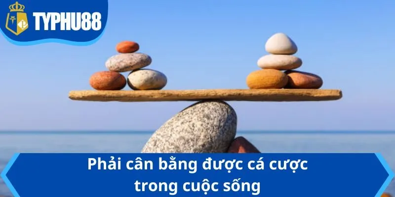 Phải cân bằng được cá cược trong cuộc sống