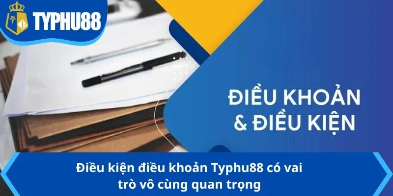 Điều kiện điều khoản Typhu88 có vai trò vô cùng quan trọng