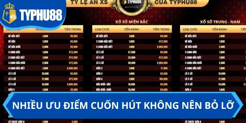 Nhiều ưu điểm cuốn hút không nên bỏ lỡ