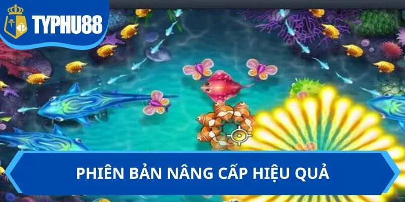 Phiên bản nâng cấp hiệu quả